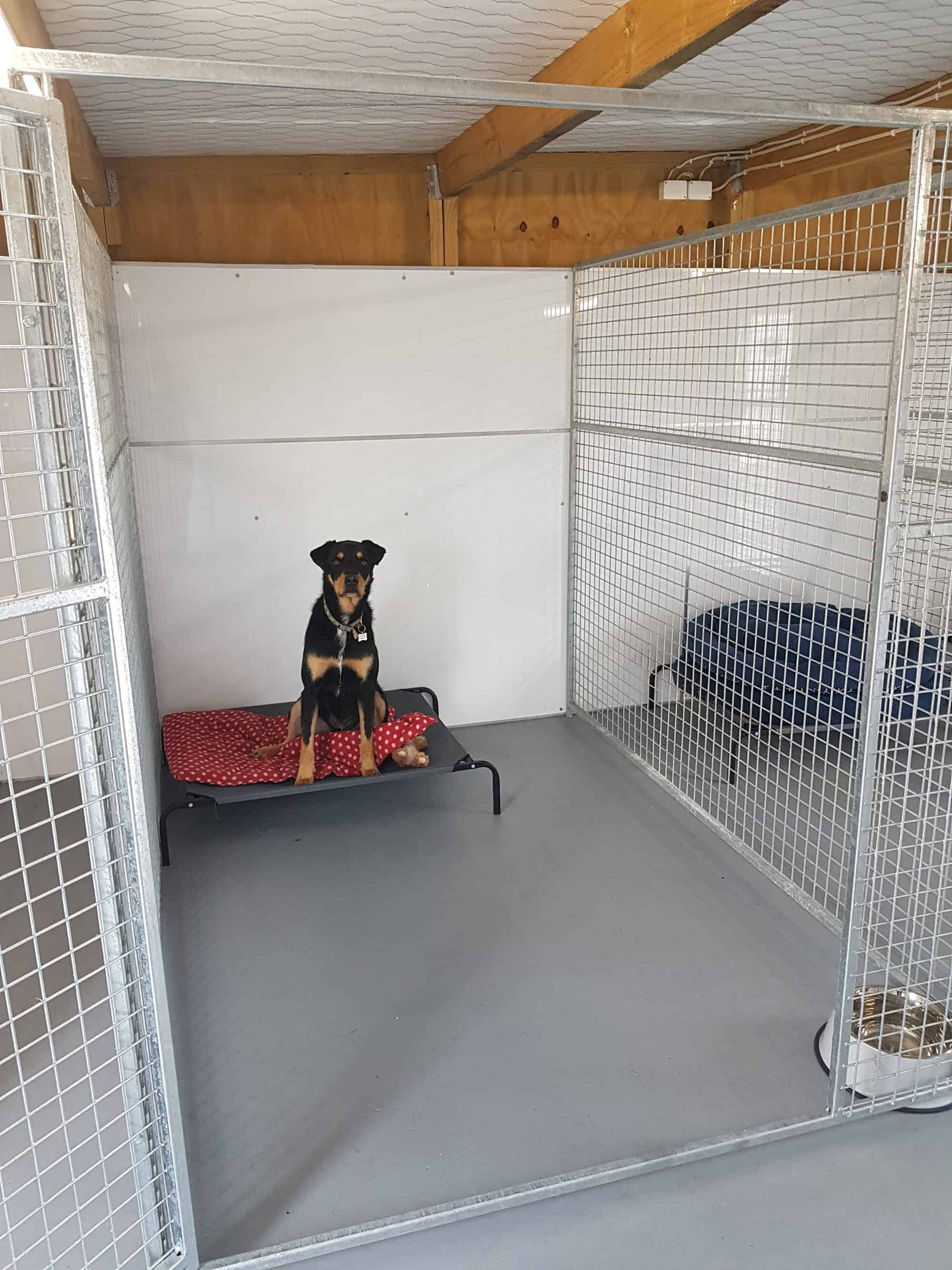 Home Cheltenham Country Kennels , Fielding Manawatu